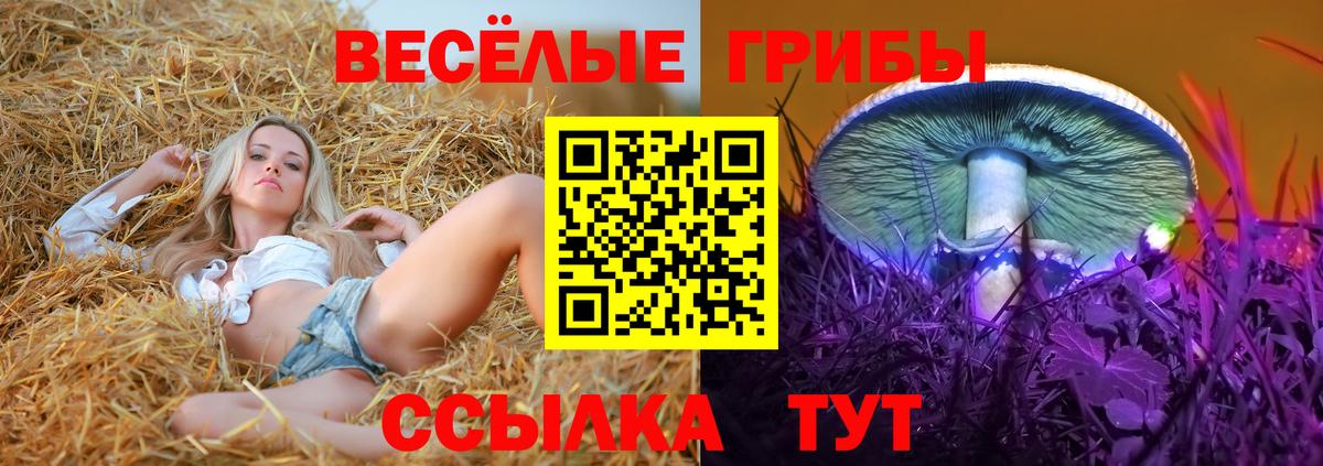 Тутаев  Псилоцибиновые грибы мицелий  Псилоцибиновые грибы Psilocybine cubensis  Вход с VPN 